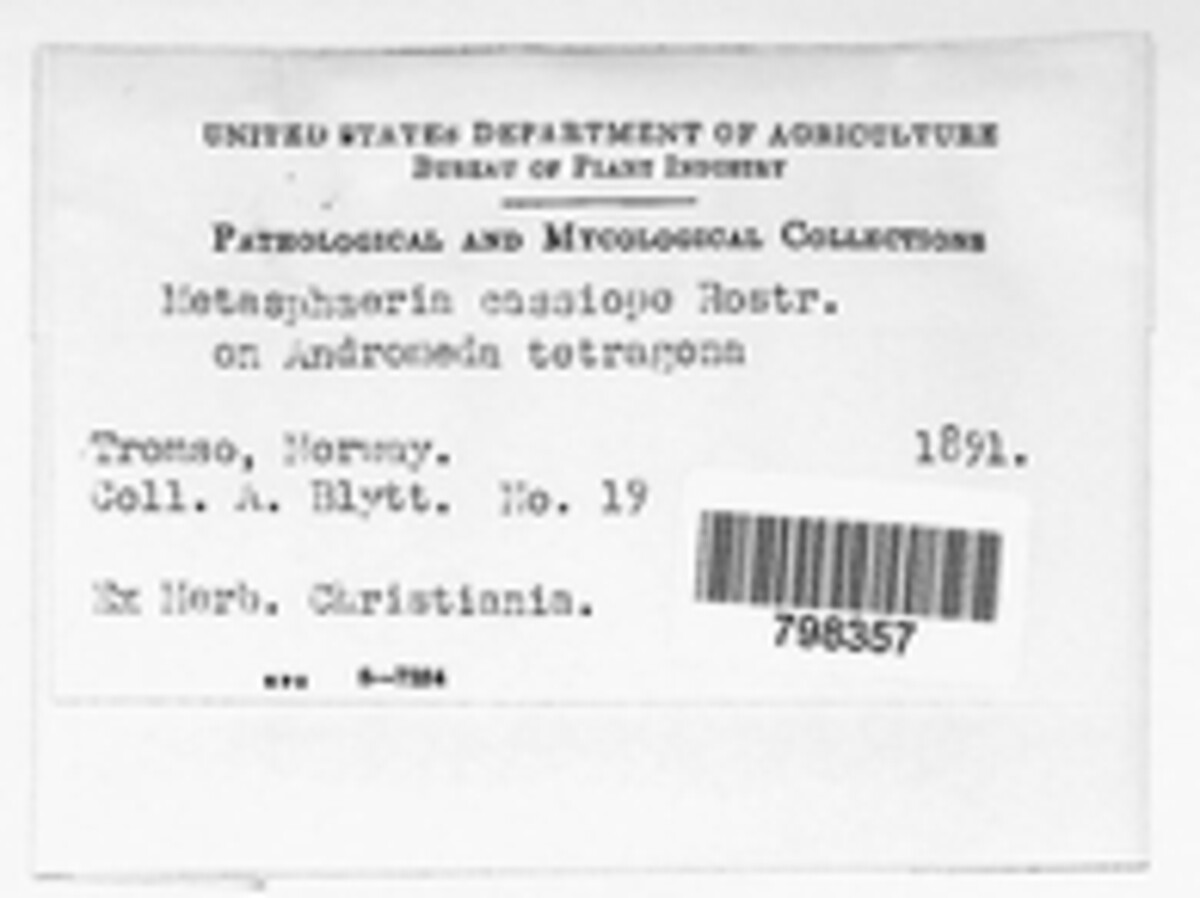 Odontotremataceae image